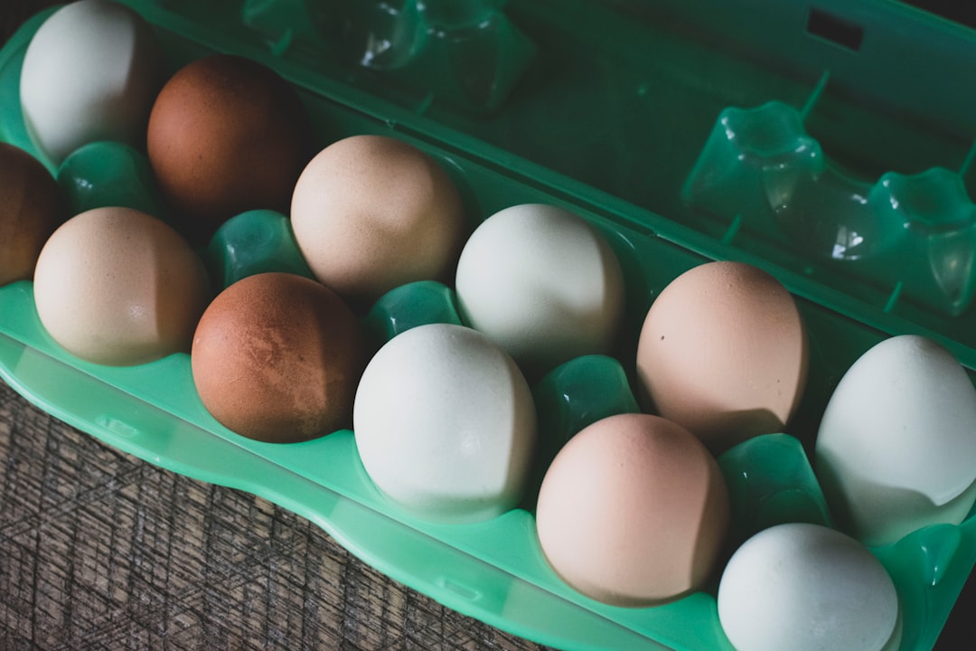 Breaking Down the Process of Egg Donation