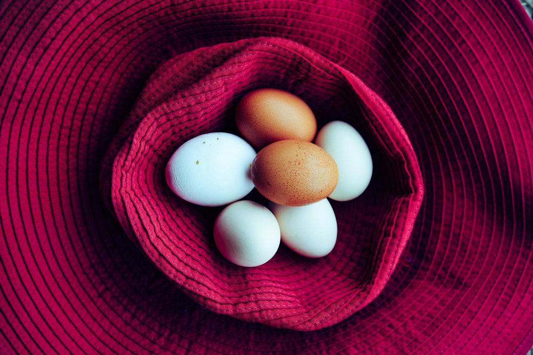 Journey to Parenthood: Real Stories from Egg Donors
