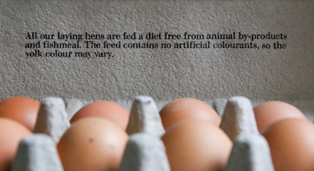 Informed Choices: The Key Steps for Intended Parents in Egg Donation