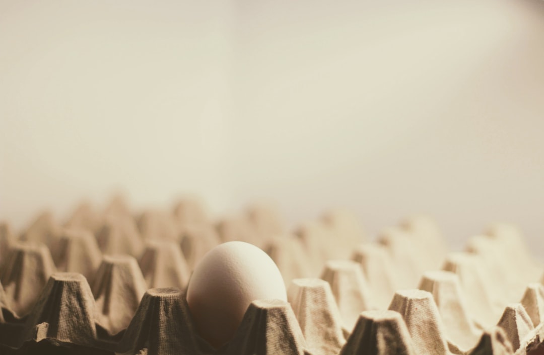 The Integral Role of Egg Donors in Modern Family Creation