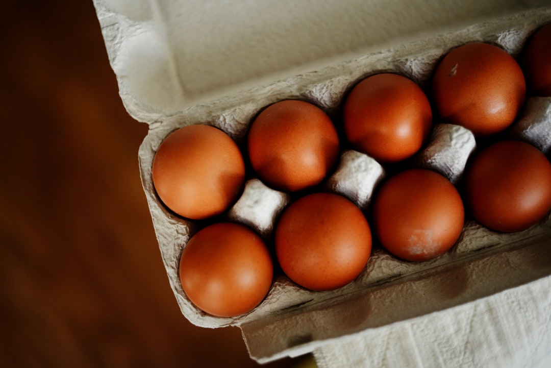 The Intersection of Egg Donation and Surrogacy: A Holistic Perspective for Intended Parents