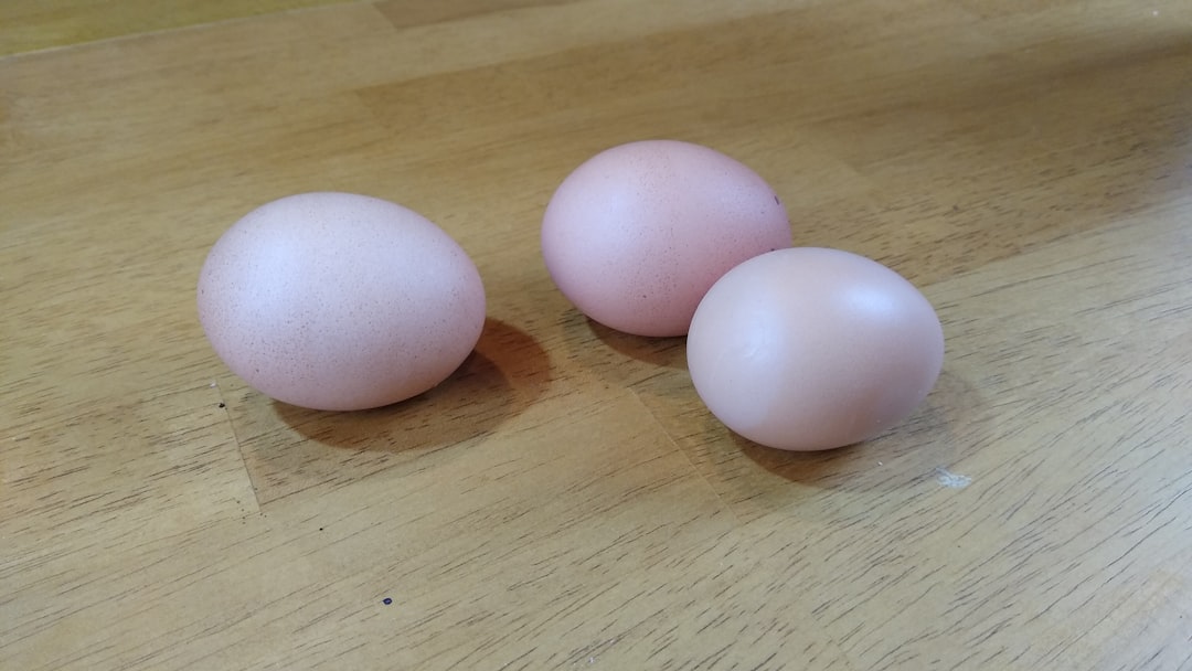 Egg Donation: A Journey of Hope and Generosity