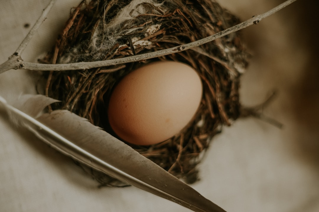 A Personal Journey: The Transformative Power of Egg Donation