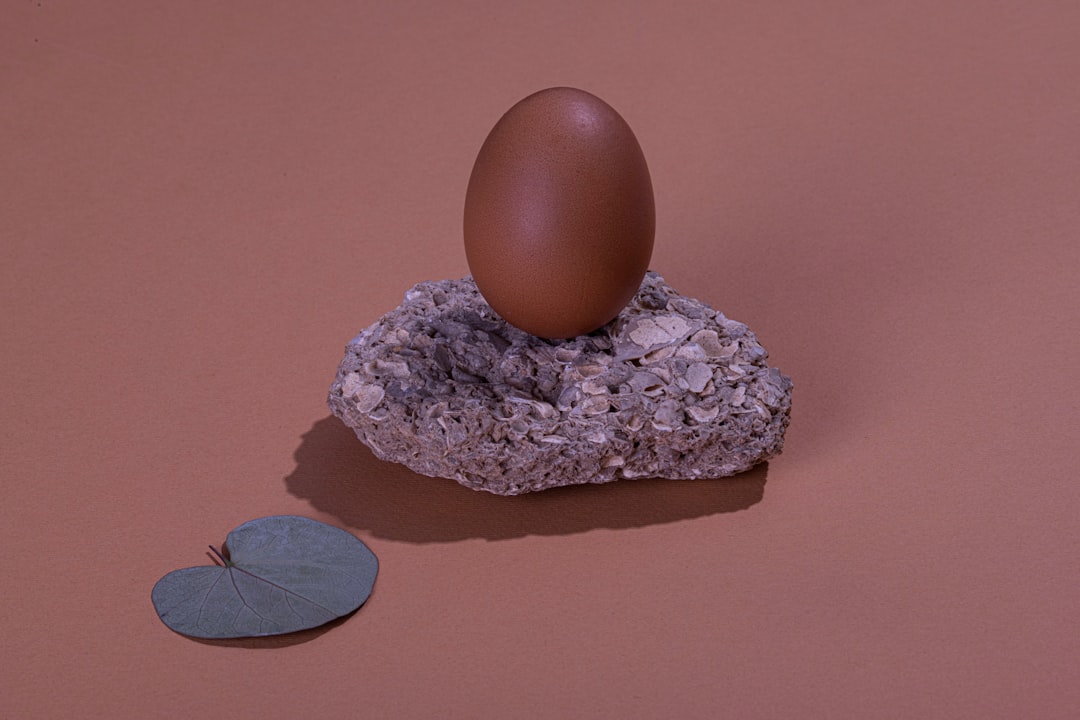 Navigating the Emotional Landscape of Egg Donation