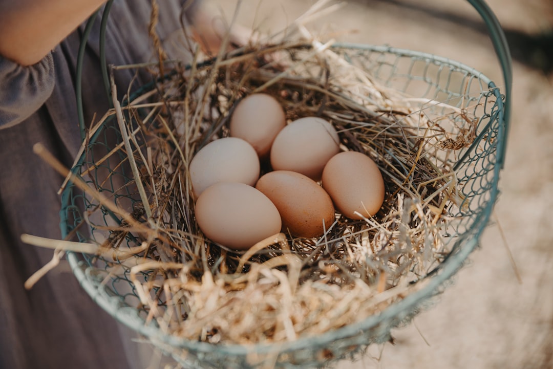 Navigating the Impact of Egg Donation on Modern Family Structures