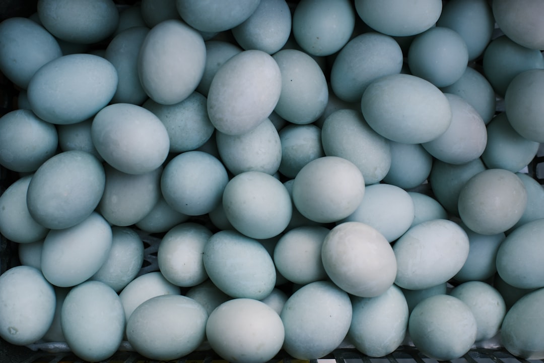 Essential Considerations for First-Time Egg Donors