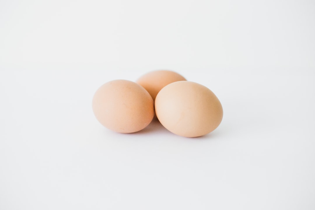 The Essential Guide to Choosing the Right Egg Donation Agency