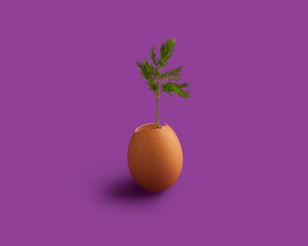 Empowering Choices: A Comprehensive Guide to Becoming an Egg Donor
