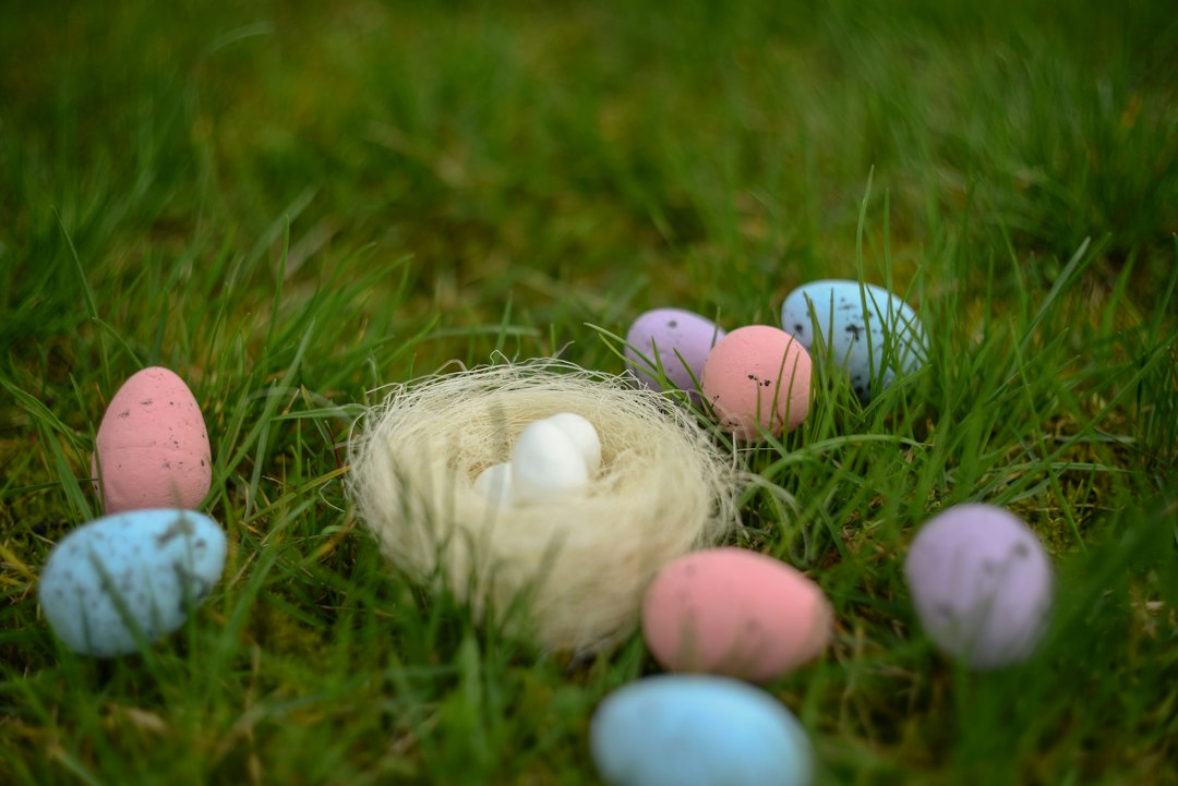 The Role of Egg Donation in Achieving Parenthood Dreams
