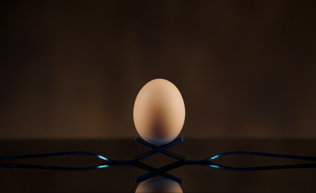 The Journey of Egg Donation: A Case Study of Hope and New Beginnings