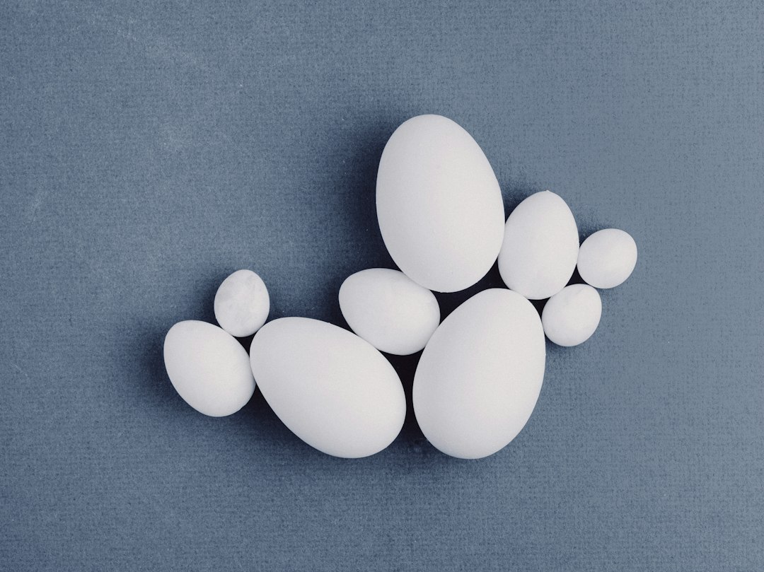 Navigating the Path: What Intended Parents Should Know About Egg Donation