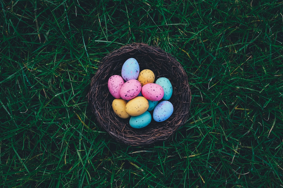 The Empowering Choice: Why Egg Donation Matters
