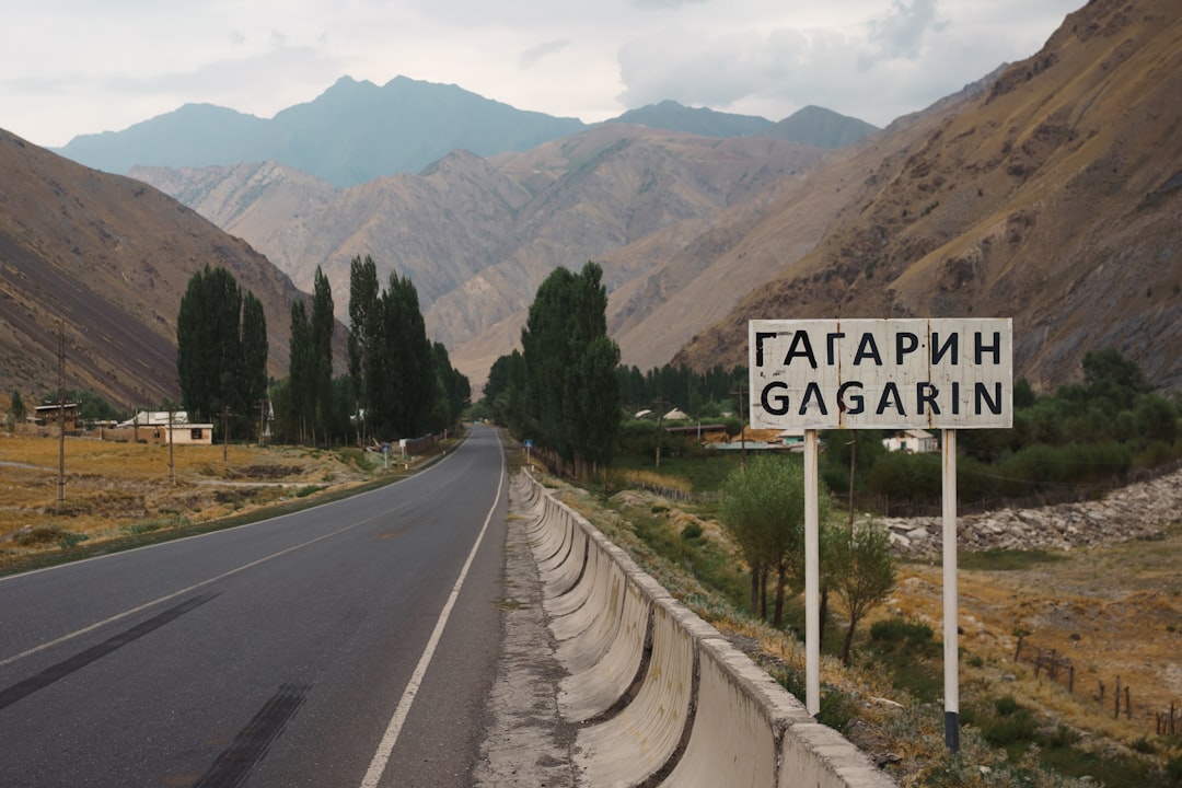 来自吉尔吉斯的成功试管婴儿案例分析