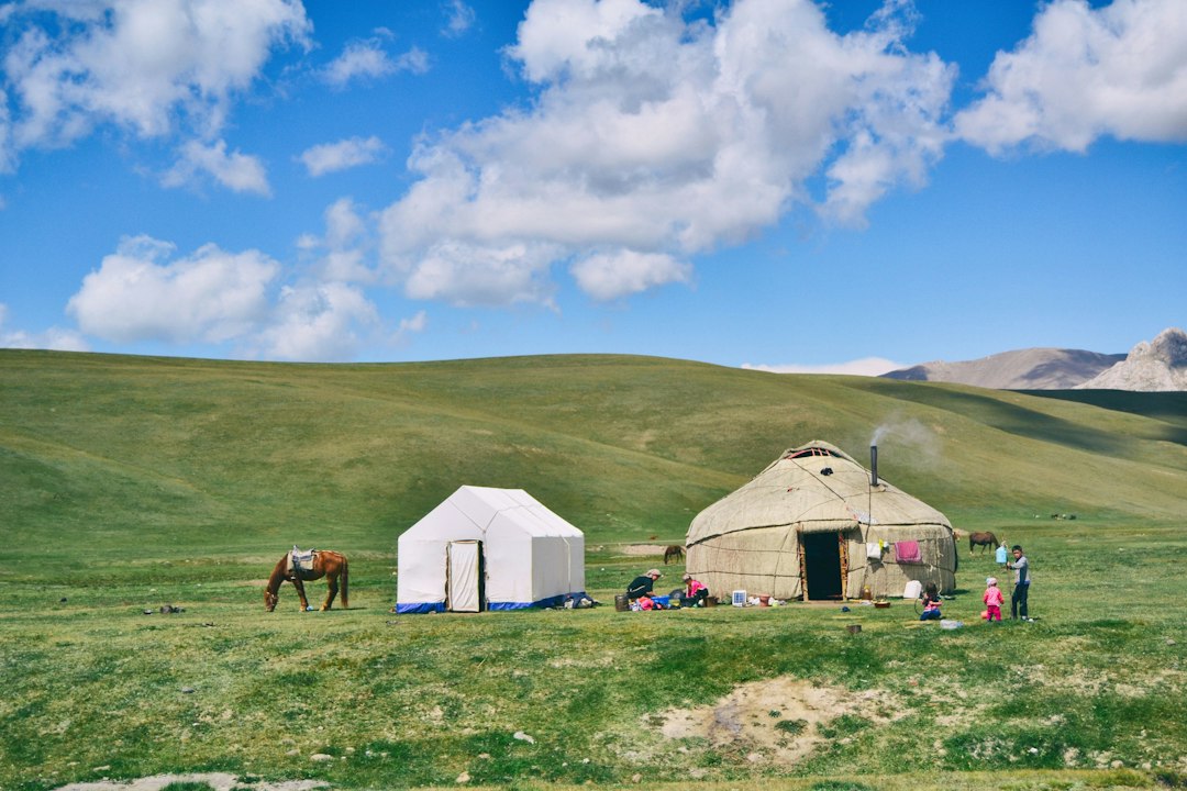 Understanding Egg Donation in Kyrgyzstan: A Practical Guide