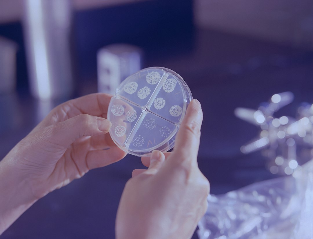 The Importance of Pre-implantation Genetic Testing in IVF: A Closer Look