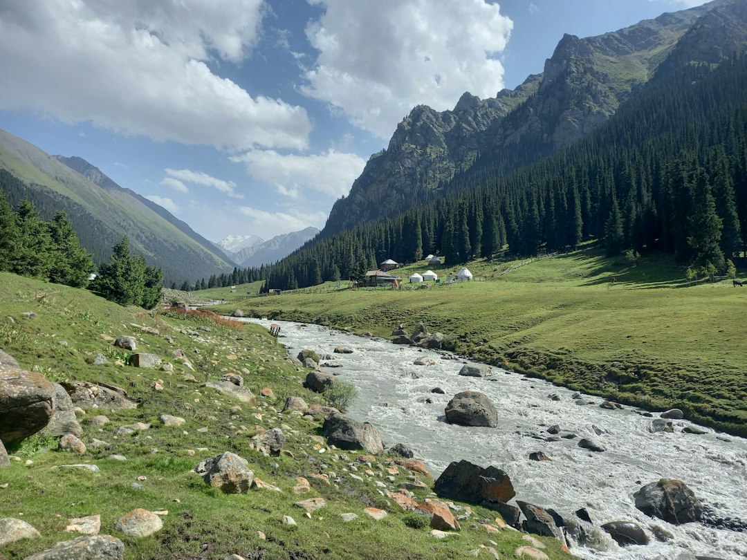 The Future of Surrogacy in Kyrgyzstan: Trends and Challenges