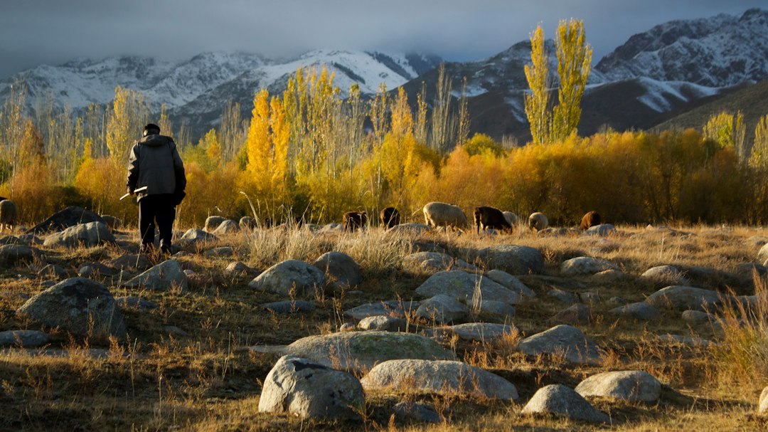 Essential Considerations for Egg Freezing in Kyrgyzstan