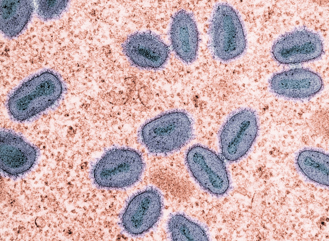 生殖健康优化之路：实用策略与最新研究