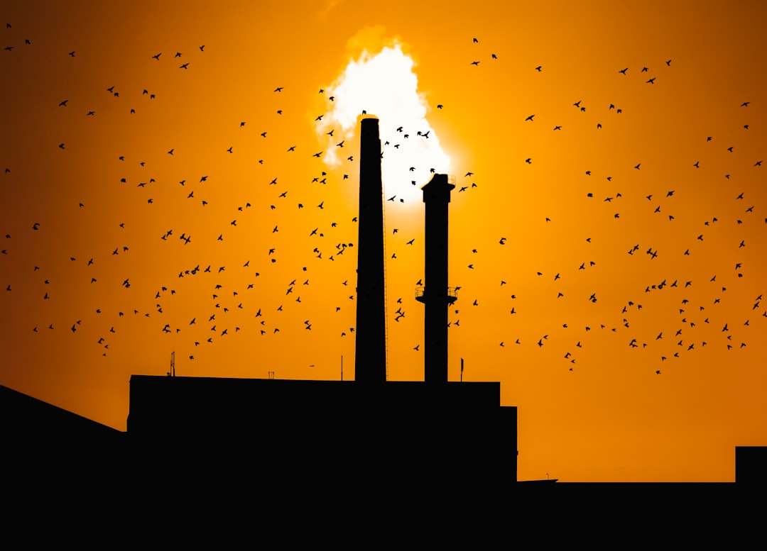 Understanding the Impact of Environmental Factors on Fertility in 2026