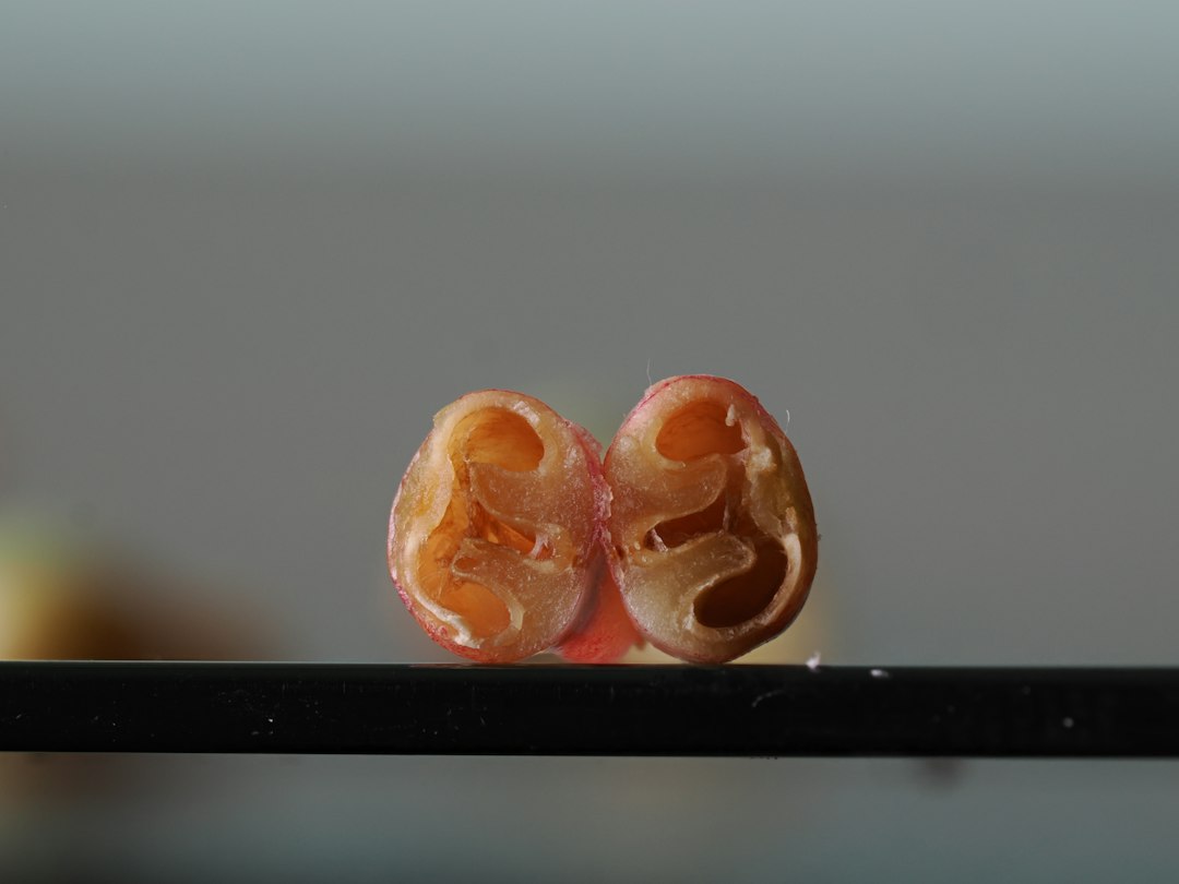 试管婴儿技术在保障生育权利中的积极作用